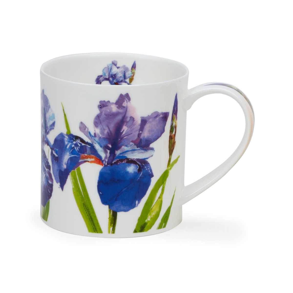 Krus Orkney Floral Blooms Iris Fru Amundsens B Rums Verk